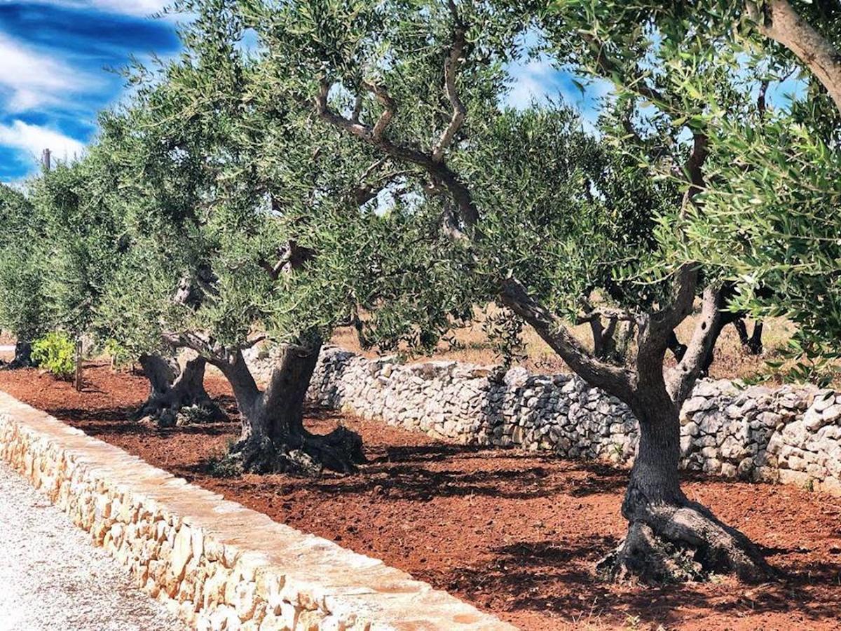 Trulli Caroli Hotel Locorotondo Exterior foto