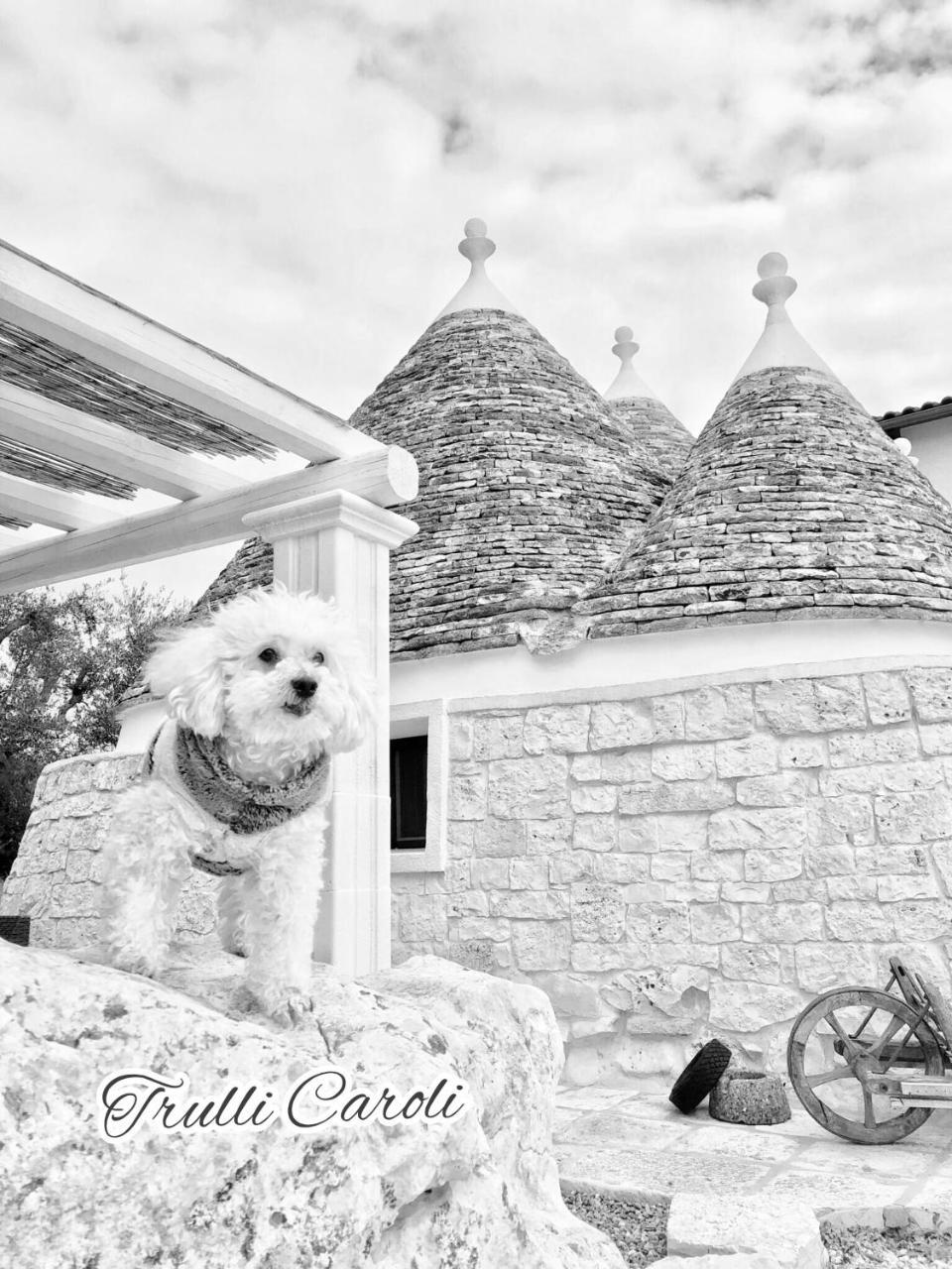 Trulli Caroli Hotel Locorotondo Exterior foto